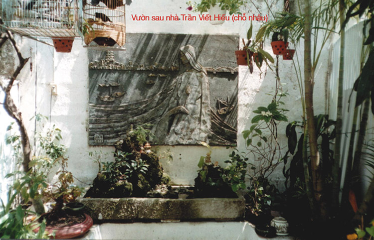 Sân sau nhà